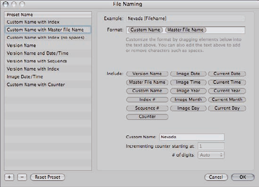 Create a custom File Naming preset to meet your needs.