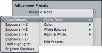 All the adjustment presets are available from within the Import panel although only one can be applied during the import process.