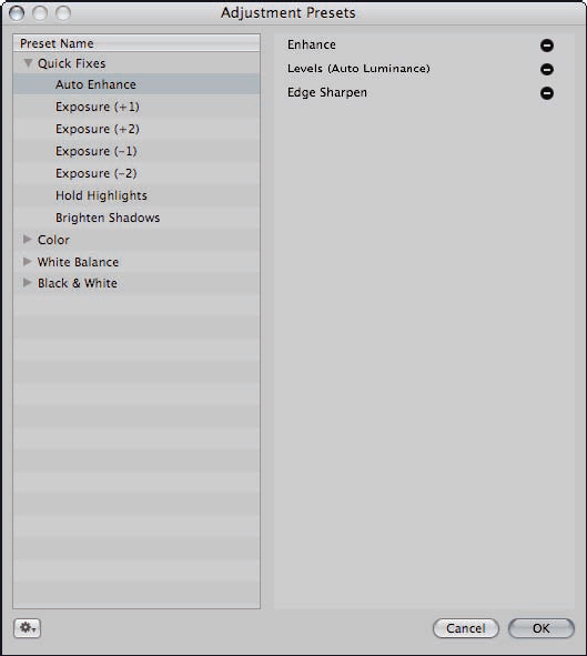 The Adjustment Presets Manager enables you to manage and customize your adjustment presets.