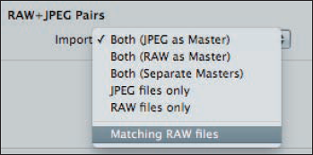 Aperture 3 offers choices of how to import RAW+JPEG pairs as well as options to import just one type of file.