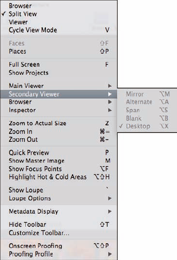 Choices for what to display on a secondary monitor.