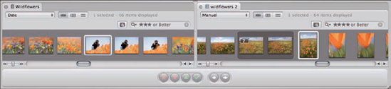 Divide the Browser into two panes to access images from two projects or albums.