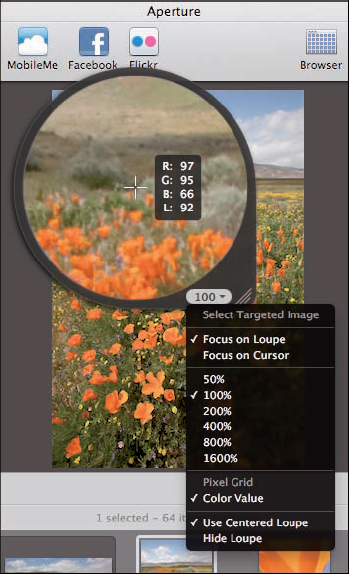 Use this dialog to customize the Loupe tool.