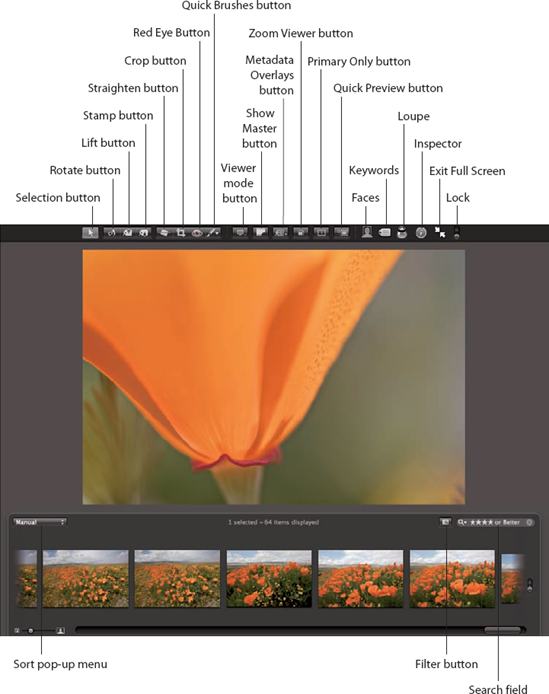 The filmstrip is always available even if it's not initially visible.