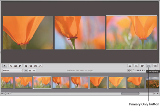 Use the Primary Only button to apply changes to just one of several images that are selected.