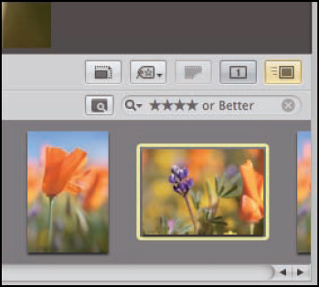 Use Quick Preview to view your images quickly.