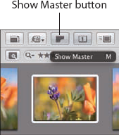 Click the Show Master button to see the master file with no adjustments.