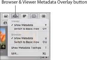 Click the Browser & Viewer Metadata Overlay button to apply metadata overlays.