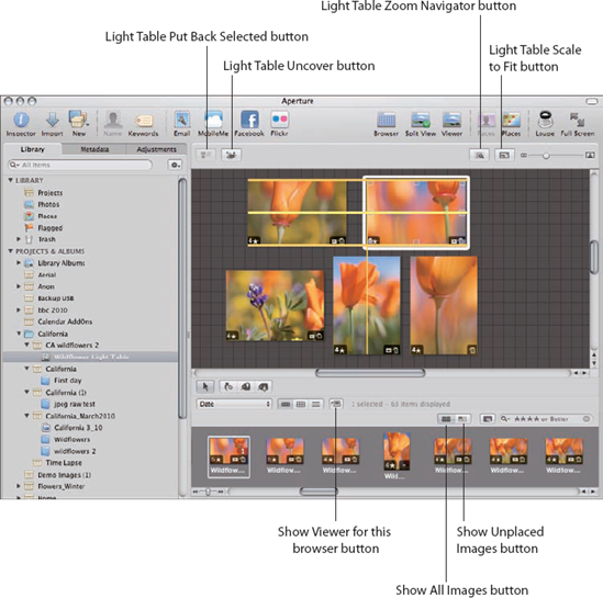 Use the Light Table to arrange groups of images.