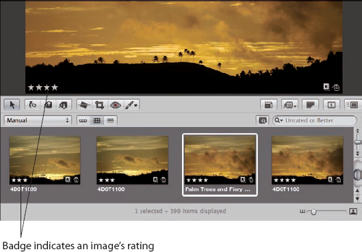 Aperture can display an image's rating as a badge in both Browser and Viewer.