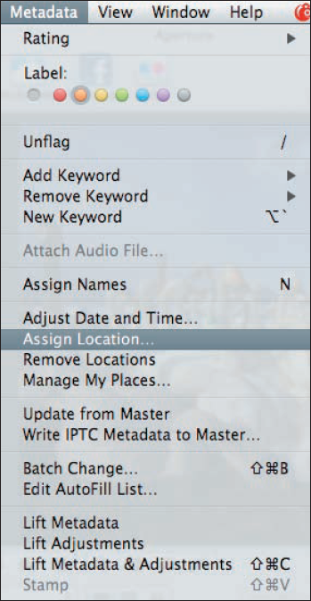 Choose Assign Location from the Metadata menu to assign custom locations.