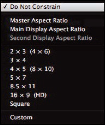 Use the Crop dialog to set an aspect ratio for the crop or to create a custom crop.