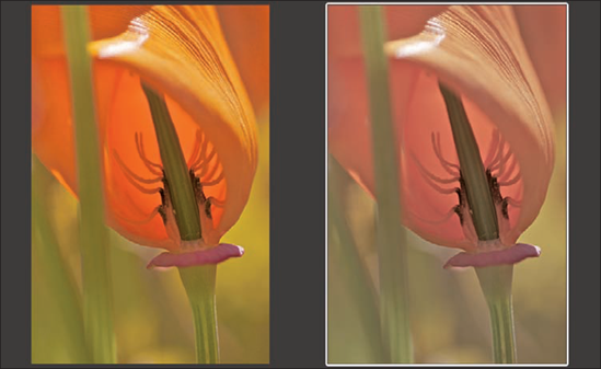 The original image and how it appears soft proofed. Sometimes the difference is insignificant, but sometimes it is substantial.