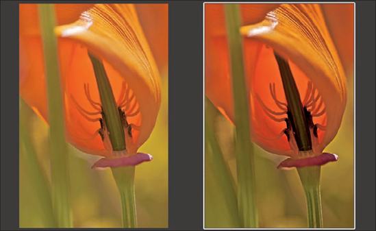 A soft proofing setup with the original image on the left and the soft-proof version you're adjusting on the right.