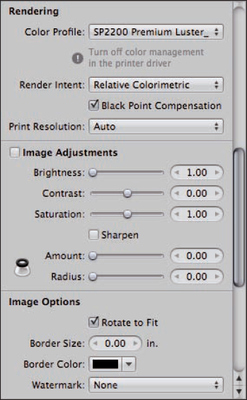 The Rendering, Image Adjustments, and Image Options groups let you adjust your image's color.