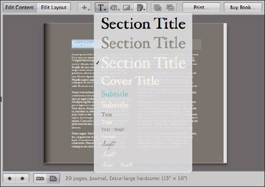 An example Text Style menu, showing the preset options from the built-in Journal theme.