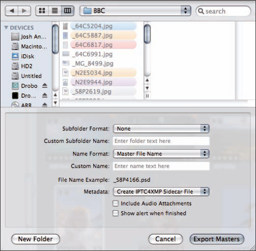 The Export Master dialog lets you export copies of your original master files out of Aperture.