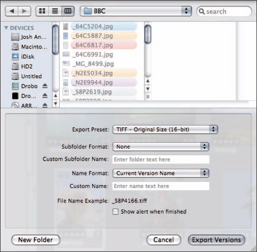 The Export Version dialog allows you to pick from preset, common formats and sizes or to create your own.