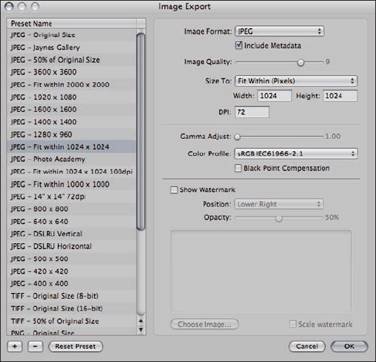 The Image Export dialog allows you to manage your export presets, whether you want to change an existing preset or to create a new one.