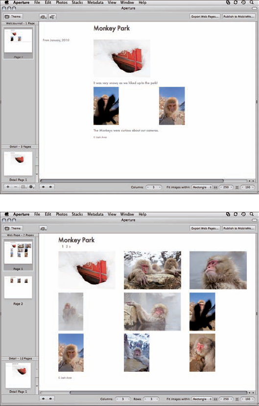 Web Journals let you mix text and images whereas Web Pages are focused on just images.