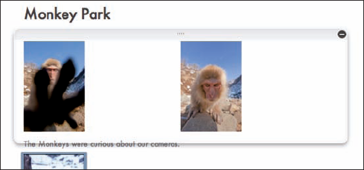 As you move your mouse over your Web Journal, group boxes for each image or text group appear with extra controls.