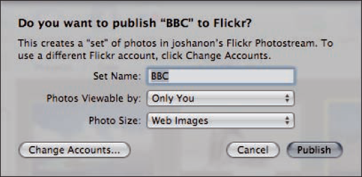 The New Flickr Set sheet allows you to create a set of photos on Flickr from within Aperture.