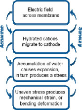 Figure 2.3