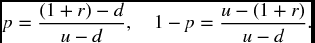 numbered Display Equation