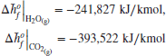 numbered Display Equation