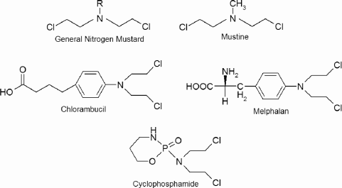 Figure showing the basic structure of the nitrogen mustards, along with some of the specific drugs in this class.