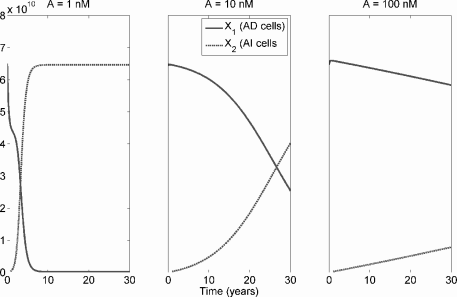 Figure showing competition between AD and AI cells in a prostate under the basic cell quota model with space-limited (logistic) growth. AI cells have greater uptake of androgen, with KA1=3 and KA2=0.3nM. From left to right, A is fixed at 1 nM, 10 nM, and 100 nM. Parameter values are µm = 0.035, d1 = d2 = 0.01, q1 = q2 = 0.3, m1 = m2 = 10−5, b = 0.09, KQ1=KQ2=5, KA1=3, KA2=0.3, um = 0.275, σ0 = 10−10, σ1 = σ2 = 5 × 10−10, m = 2, ρ1 = ρ2 = 1.2, δ = 0.2.