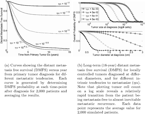 Figure showing some results from the basic Yorke model with complete local control. Note especially that the DMFS curve unexpectedly appears to approach an asymptotic curve as ryα increases. This is not seen when using the agent-based simulation model, as in Figure 7.4. Also, compare the prediction in (b) to that for drug resistance under the Goldie-Coldman model discussed in Chapter 9.