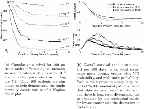 Figure showing kaplan-meier survival curves generated using agent-based simulation of the Yorke model. Patient survival data is often reported and displayed using a Kaplan-Meier survival curve which gives the cumulative probability of the patient survival at any time. See exercise 7.4 for a method of generating such a curve.
