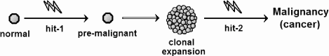 Figure showing simple schematic for the two-hit model, or two-stage clonal expansion model.
