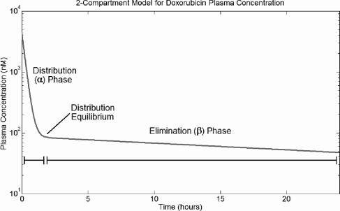 Figure showing two-phase plasma drug concentration dynamics for a two-compartment model. Shown is the two-compartment model for doxorubicin plasma concentration from Greene et al. [31] with A = 4425 nM, α = 4.159 hr−1, B = 87 nM, and β = 0.02530 hr−1.