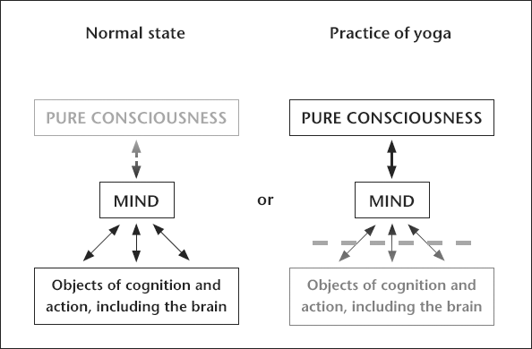 Figure 13.2. The first two stages of the metatheory.