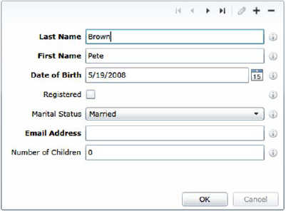 A DataForm bound to a collection of objects. Note the presence of the toolbar including the add/remove and navigation buttons, sometimes called the VCR control. (Display annotations, covered in 12.3.1, were used in this example.)