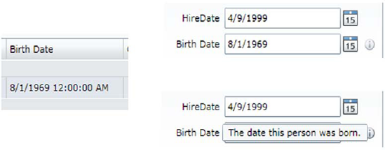 The Display annotation in use on the DataGrid on the left and the DataForm on the right. At lower right is the Description property in a tooltip.