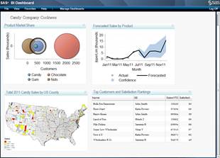 Figure 1.1-5 SAS BI Dashboard sample