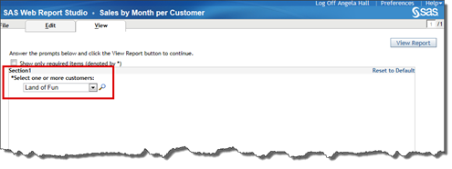 Figure 9.5-4 Prompt displayed text from SAS Web Report Studio