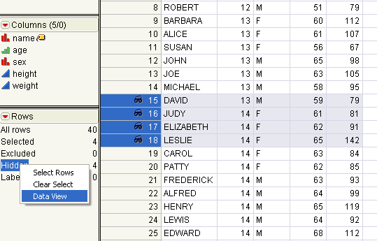 Creating a Data View from the Rows Panel