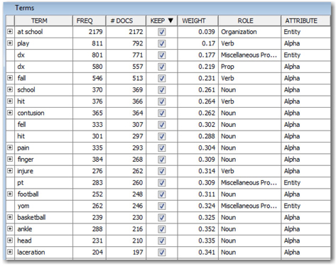 Display C4.9: Key terms retained by the text filter node based on the term weights