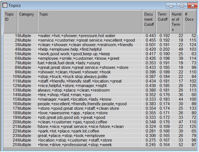 Display C6.4. Text topic node results from positive comments with default settings