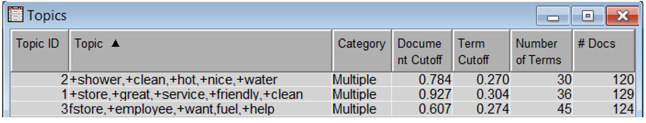 Display C6.5. Text topic node results from positive comments with custom settings