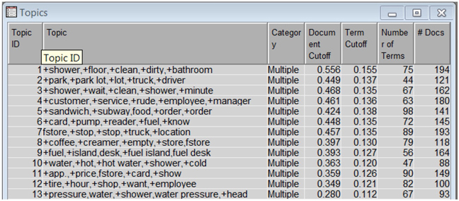 Display C6.7. Text topic node results from negative comments with custom settings