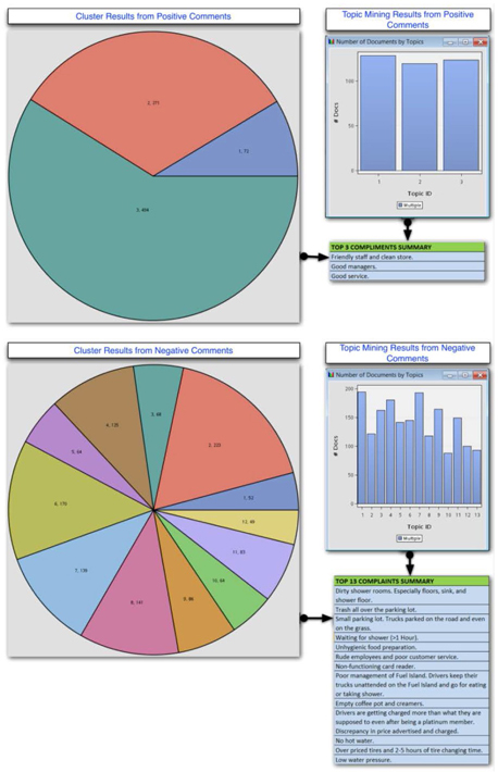 Display C6.8. Summary of results from SAS® Text Miner