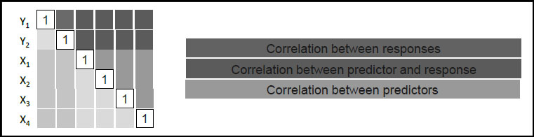 Figure 4.1: Schematic of Correlation Matrix S, for Ys and Xs