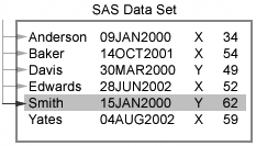 sample SAS data set