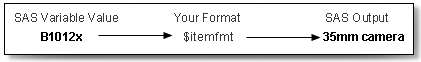 FORMAT procedure