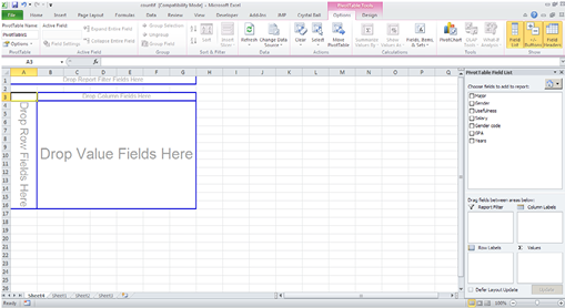 Figure 3.3  PivotTable Worksheet 
